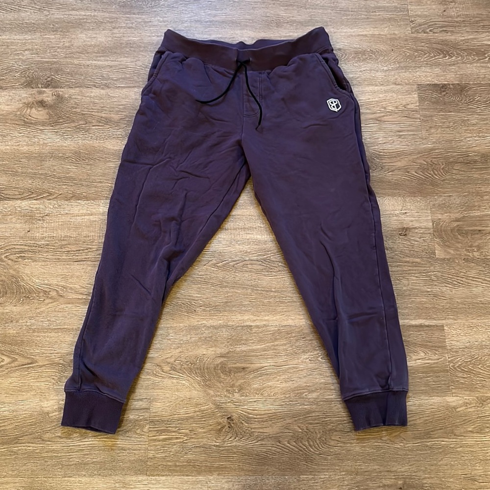 Born Primitive Female Unmatched Joggers in Plum L